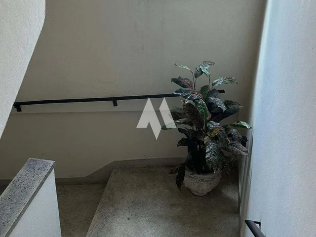 Imagem 8: Prédio Comercial Estruturado À Venda Ou Locação na Avenida Campos Sales