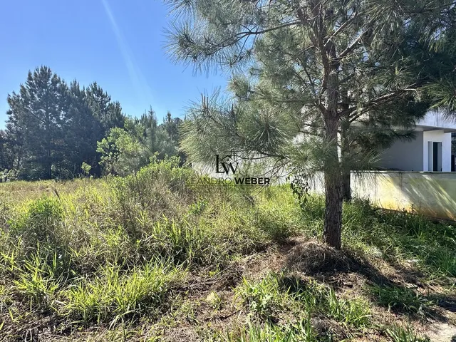 Imagem 2: Terreno Plano com 250M² - Pronto para Construir - São José-Sc