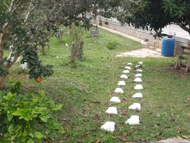 Imagem 10: Chácara Residencial para Venda 2 Dormitórios Jardim Colônia, Jacareí