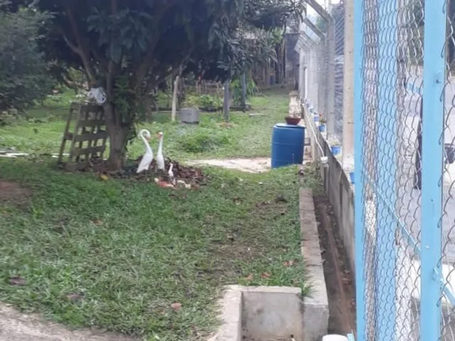 Imagem 8: Chácara Residencial para Venda 2 Dormitórios Jardim Colônia, Jacareí