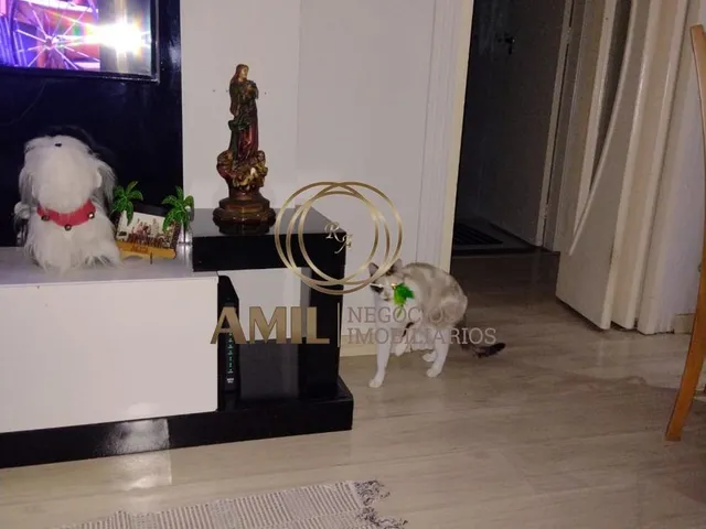 Imagem 11: Apartamento À Venda no Di Cavalcanti, Monte Castelo, 45M², 02 Dormitórios, São José dos Campos