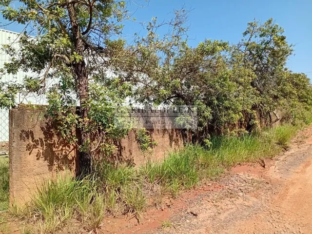 Imagem 2: 0 Galpão / depósito com 4 banheiros