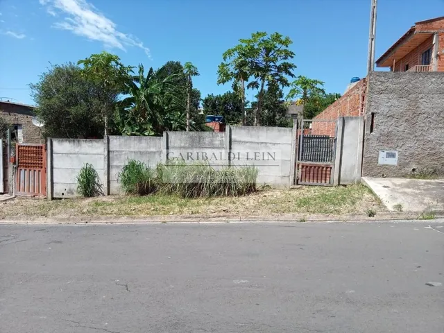 Imagem:
