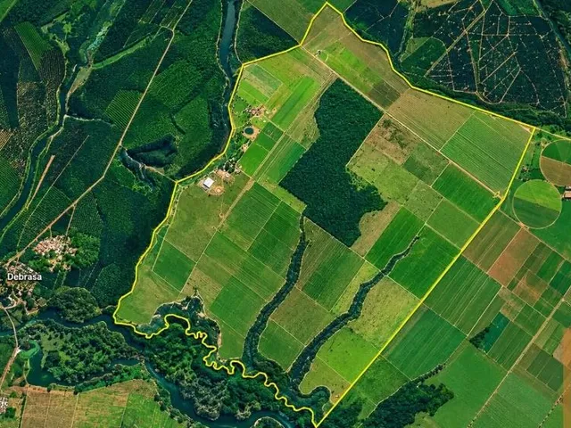 Imagem 2: Fazenda À Venda 5.358 Hectares Ms Brasilânda
