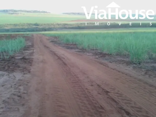 Imagem 3: Fazenda de Cana para Venda na Cidade de Brodósqui Sp