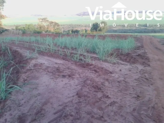 Imagem 15: Fazenda de Cana para Venda na Cidade de Brodósqui Sp