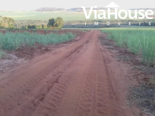 Imagem 5: Fazenda de Cana para Venda na Cidade de Brodósqui Sp