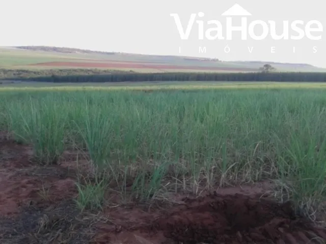Imagem 4: Fazenda de Cana para Venda na Cidade de Brodósqui Sp