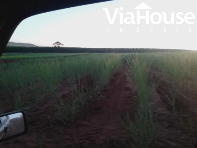 Imagem 12: Fazenda de Cana para Venda na Cidade de Brodósqui Sp