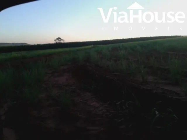 Imagem 7: Fazenda de Cana para Venda na Cidade de Brodósqui Sp
