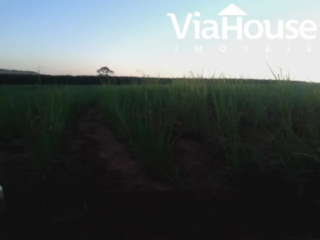 Imagem 8: Fazenda de Cana para Venda na Cidade de Brodósqui Sp