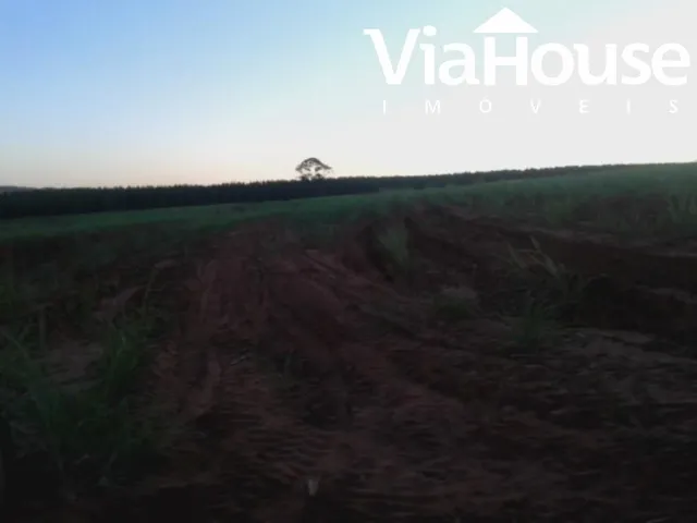 Imagem 6: Fazenda de Cana para Venda na Cidade de Brodósqui Sp