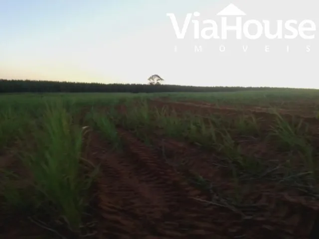 Imagem 16: Fazenda de Cana para Venda na Cidade de Brodósqui Sp