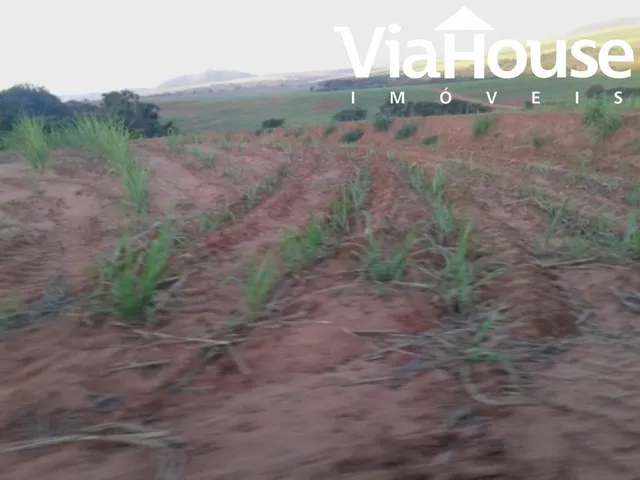 Imagem 11: Fazenda de Cana para Venda na Cidade de Brodósqui Sp