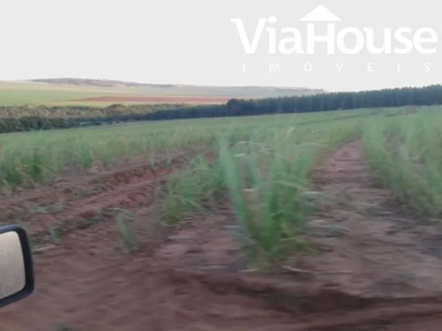 Imagem 13: Fazenda de Cana para Venda na Cidade de Brodósqui Sp