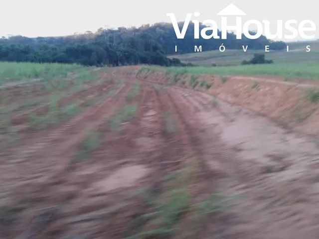 Imagem 10: Fazenda de Cana para Venda na Cidade de Brodósqui Sp