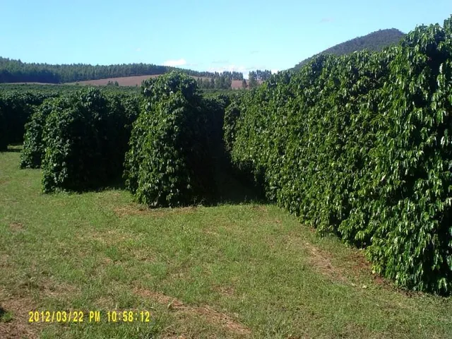 Imagem 6: Fazenda na Região de Passos Mg