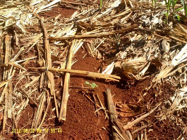 Imagem 14: Fazenda na Região de Passos Mg