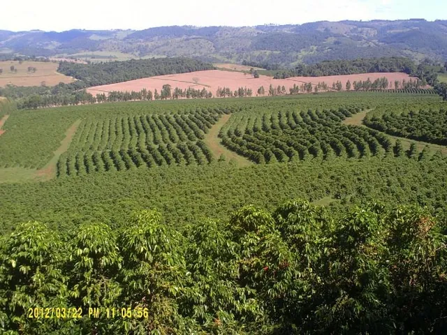 Imagem 10: Fazenda na Região de Passos Mg