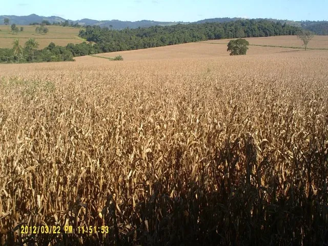 Imagem 4: Fazenda na Região de Passos Mg