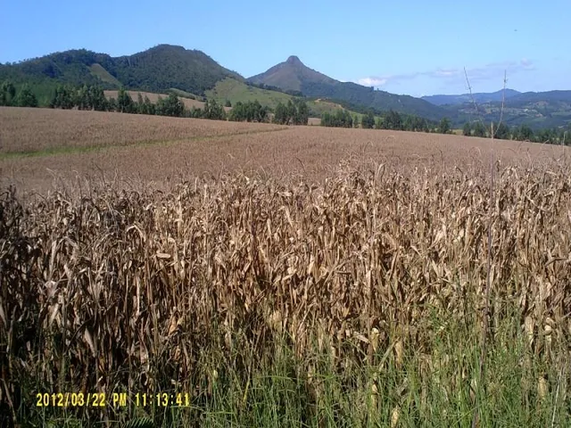 Imagem 13: Fazenda na Região de Passos Mg