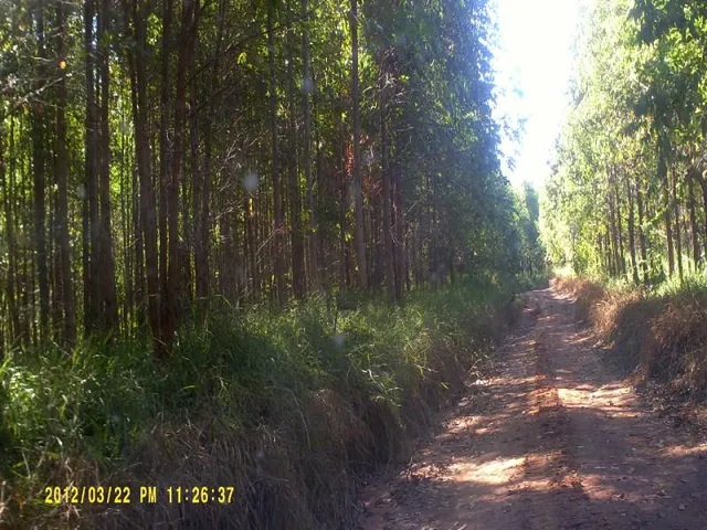 Imagem 5: Fazenda na Região de Passos Mg