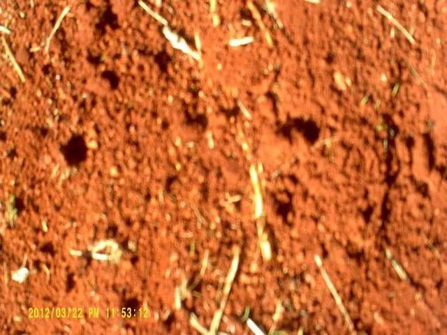 Imagem 12: Fazenda na Região de Passos Mg