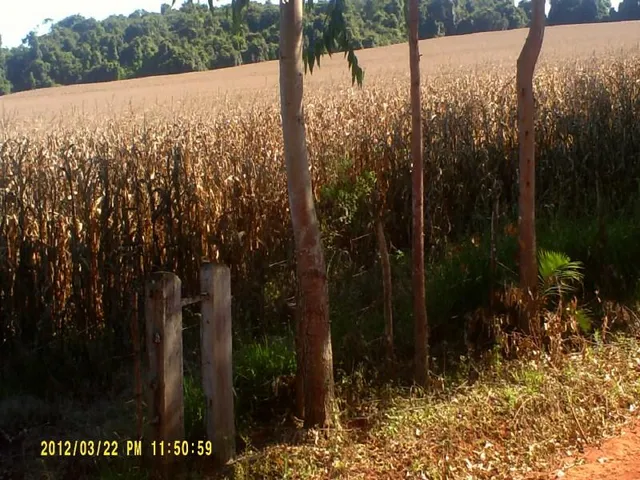 Imagem 9: Fazenda na Região de Passos Mg