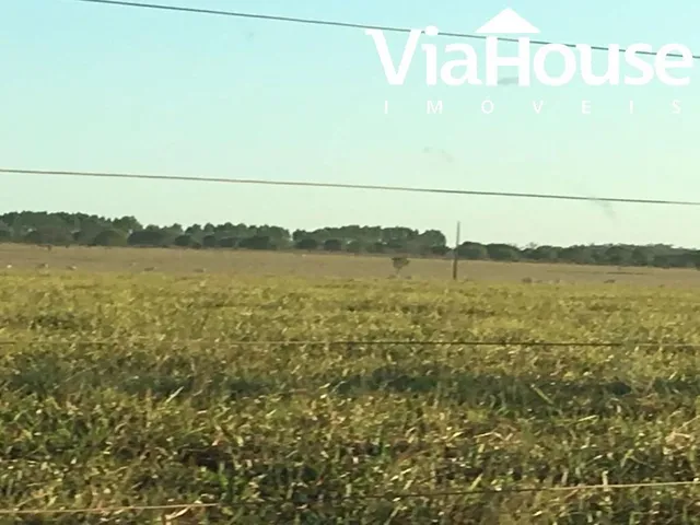 Imagem 2: Fazenda em Miracema de Tocantins - To