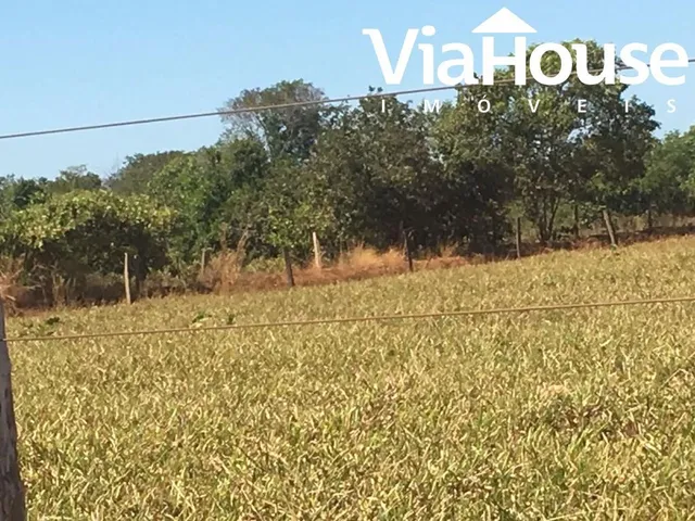 Imagem 11: Fazenda em Miracema de Tocantins - To
