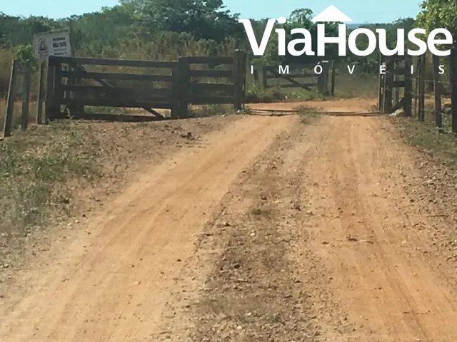 Imagem 14: Fazenda em Miracema de Tocantins - To