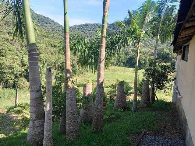 Imagem 5: 0 Chácara com 4 dormitórios