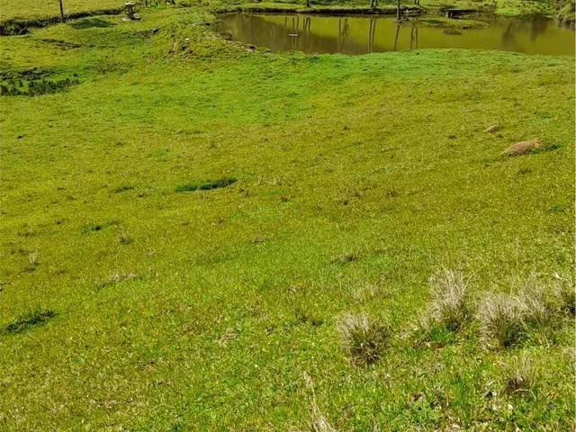 Imagem 7: 0 Terreno / lote com venda por R$120.000