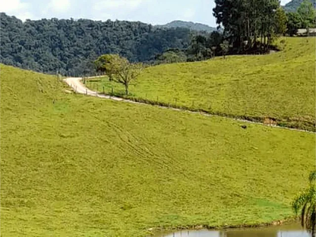 Imagem 4: 0 Terreno / lote com venda por R$120.000