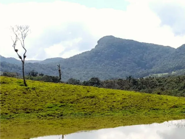 Imagem 6: 0 Terreno / lote com venda por R$120.000