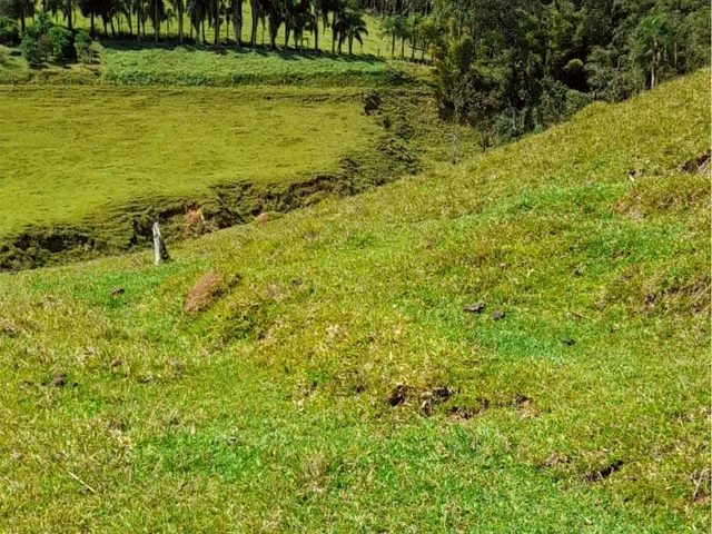 Imagem 2: 0 Terreno / lote com venda por R$120.000
