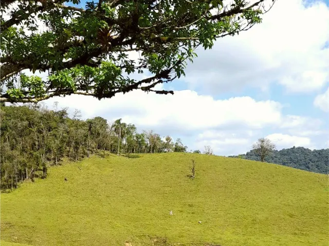 Imagem 9: 0 Terreno / lote com venda por R$120.000