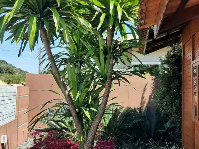 Imagem 14: 0 Casa com 2 dormitórios
