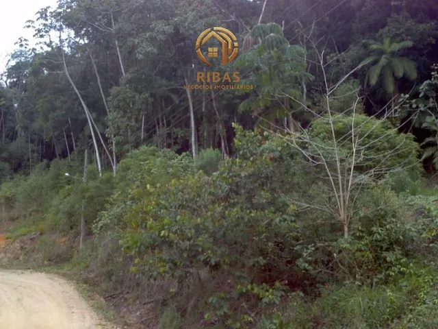 Imagem: