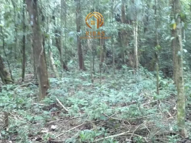 Imagem 3: 0 Terreno / lote com venda por R$380.000