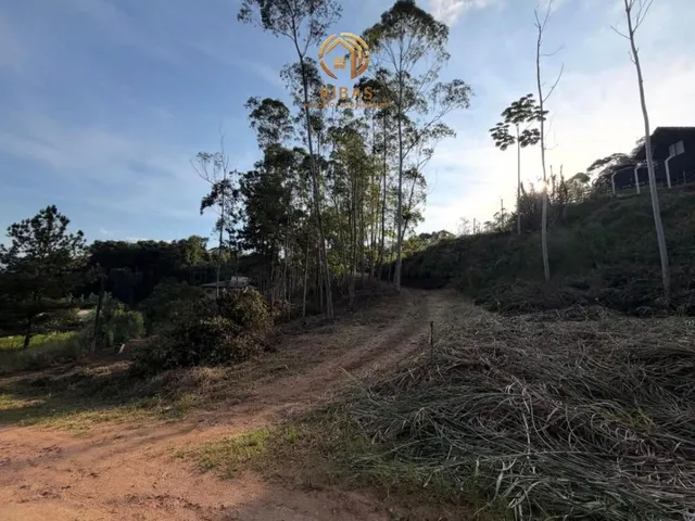 Imagem 3: 0 Casa com 1 dormitório