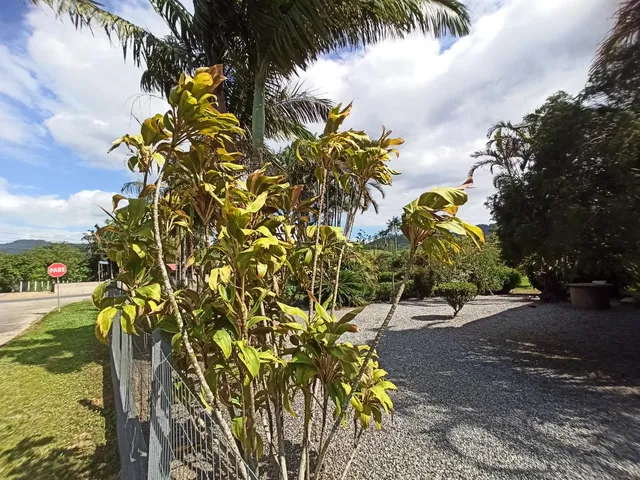 Imagem 8: Casa Enxaimel a Venda no Rio da Luz em Jaraguá do Sul