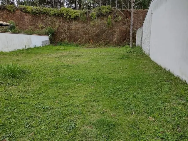 Imagem: Terreno para Venda no Bairro Amizade em
