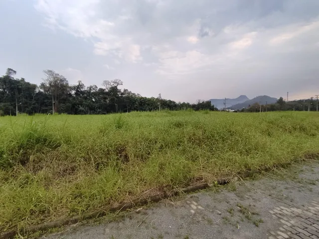 Imagem: Terreno a Venda no Centro de Schroeder