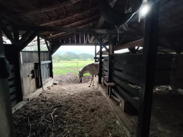 Imagem 2: Chácara a Venda no Bairro Garibaldi em Jaraguá do Sul - 260.000 M²