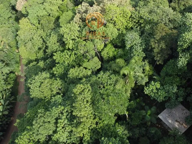 Imagem 5: Área para Venda no Bairro Rega II em Pomerode