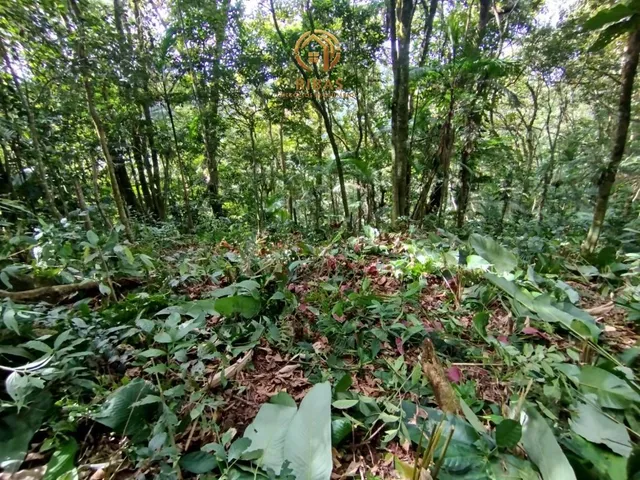 Imagem 2: Área para Venda no Bairro Rega II em Pomerode