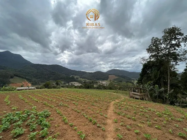 Imagem 12: Chácara Bairro Jacu-Açu Guaramirim