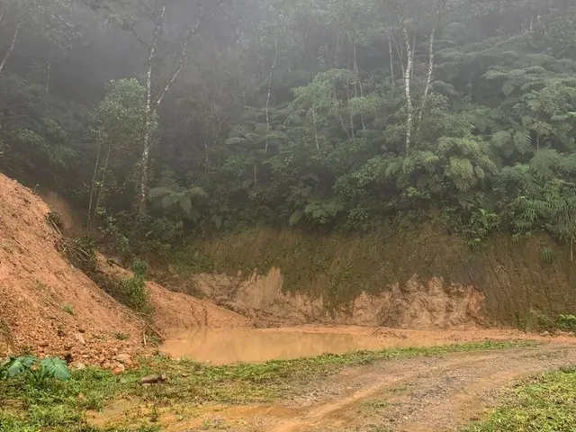Imagem 4: Sítio/Chácara a Venda em São Bento do Sul