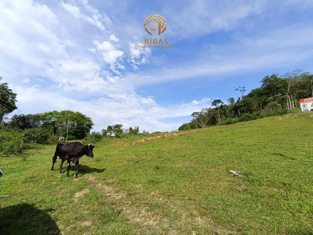 Imagem 12: Chacara Estrada Guamiranga - Araquari Sc